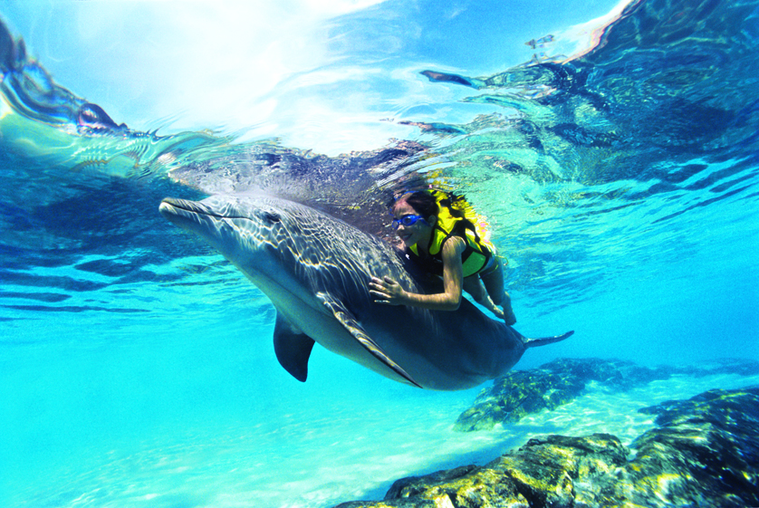 girl swimming with dolphin