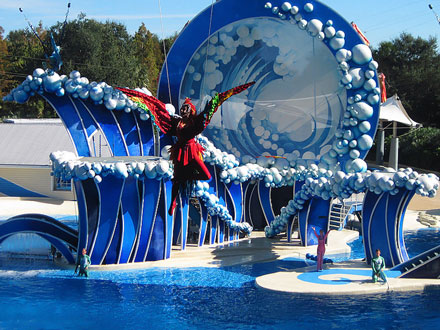 Blue horizons at SeaWorld
