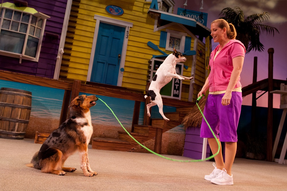 Skipping Dogs at Pets Ahoy