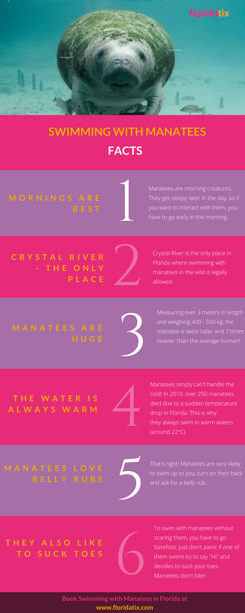 Swimming with Manatees in Florida Infographic