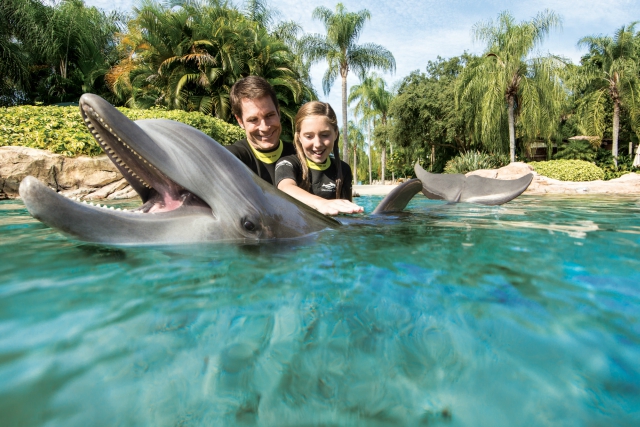Dolphin Swim Dad Daughter