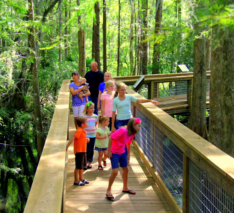 Hawk Swamp Boardwalk at Wild Florida