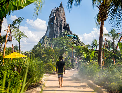 Volcano BayRead the Guide