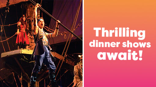 Orlando Dinner Shows
