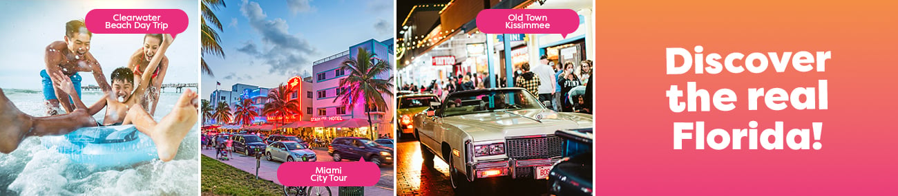 Tours & Day Trips