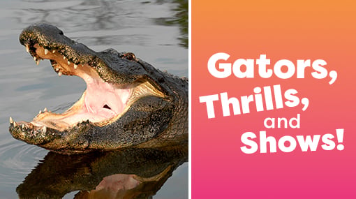 Gatorland